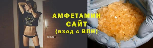 прущие грибы Дмитровск