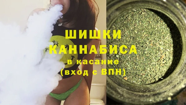 дмт Новокубанск