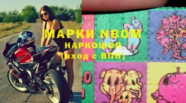 дмт Новокубанск