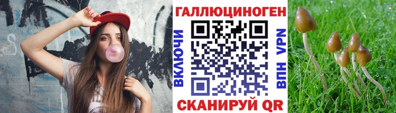 Псилоцибиновые грибы Psilocybe  дарк нет официальный сайт  Лысково 